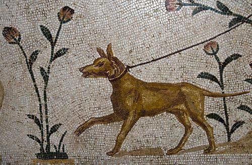 El perro de Alcibíades, una cortina de humo muy clásica